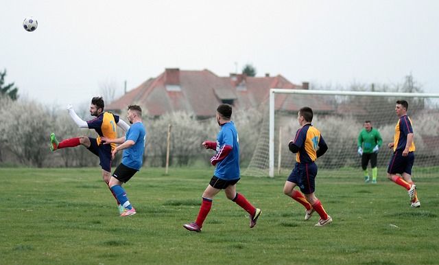 img2.jpg